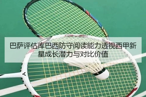 ba-sa-ping-gu-ku-ba-xi-fang-shou-yue-du-neng-li-tou-shi-xi-jia-xin-xing-cheng-zhang-qian-li-yu-dui-bi-jia-zhi-2-358.jpg